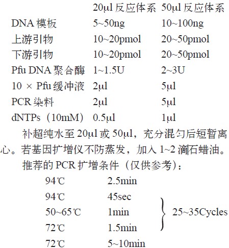 赛百盛